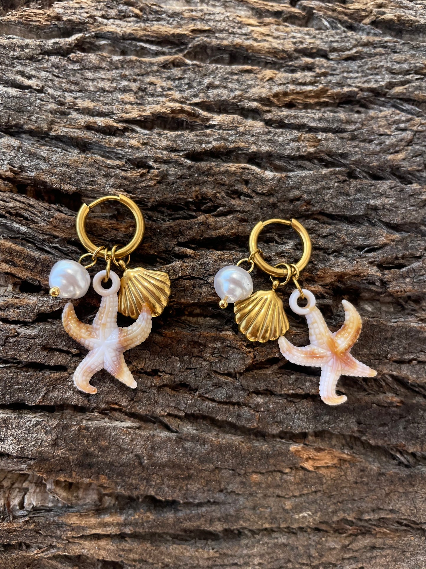 Boucles d’oreilles Étoile de mer