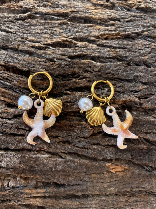 Boucles d’oreilles Étoile de mer