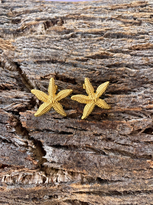 Boucles d’oreilles Étoile de Mer